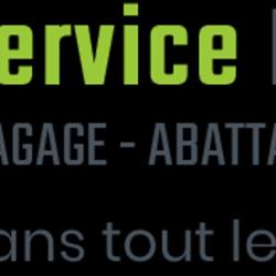 Service élagage Partout Dans Le 34