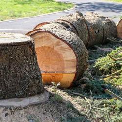 Service Net Environnement