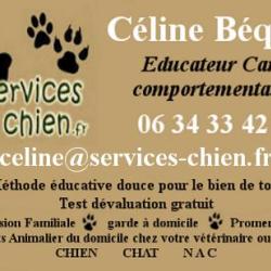 Services Chien