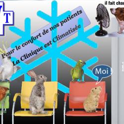 Sevetys Clinique Vétérinaire Verrieres
