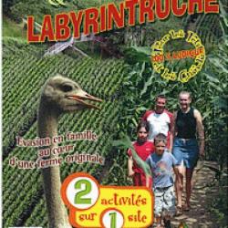 Sèvre Autruche - Labyrintruche