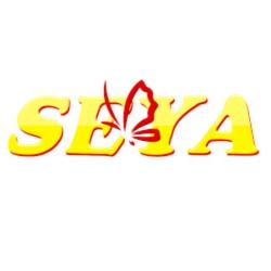 Seya Informatique