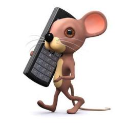 Mouse-micro65