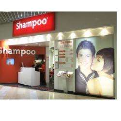 Shampoo