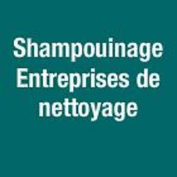 Shampouinage