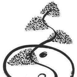 Shiatsu Yamadori Pierre Stubbe