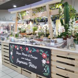 Shizen Plants & Design