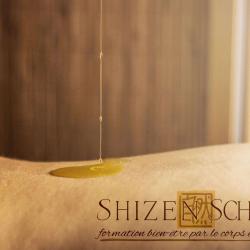 Shizen School