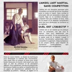 Shugyo-aikido