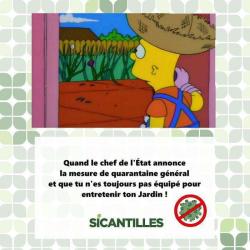 Sicantilles