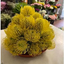 Sidney Fleurs