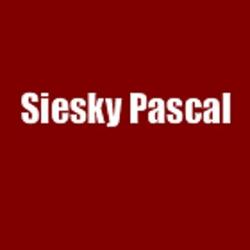 Entreprise Siesky Pascal