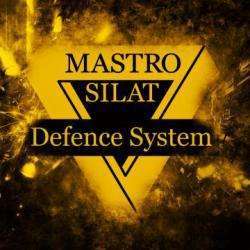 Silat Defence System