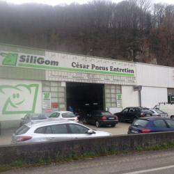 Siligom
