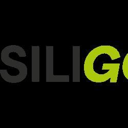 Siligom - Centre Auto Biguglia