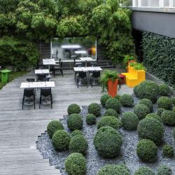 Silk Brasserie
