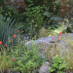 Simonson Landscape - Concepteur Paysagiste Paris