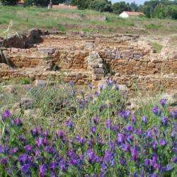 Site Archéologique D'olbia