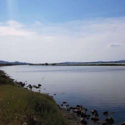 Site Naturel De L'etang De Bolmon