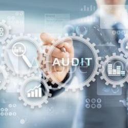 Sj Audit