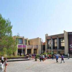 Skema Business School