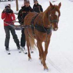 Skijoering