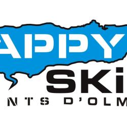 Skiset