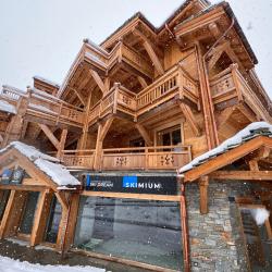 Precision Ski Ski Dream - Alpe D'huez