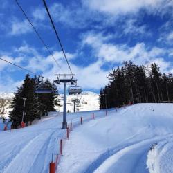 Skiset