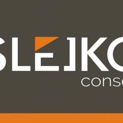 Slejko Conseil