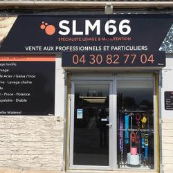 Slm66