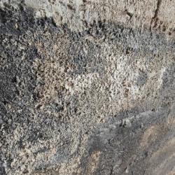 Sma Expert Conseil Humidite