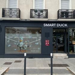 Smart Duck