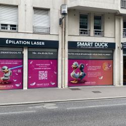 Smart Duck