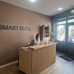 Smart Duck