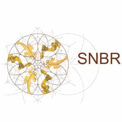 Snbr