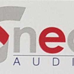Snec Audit