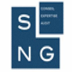 Sng Conseils Expertise Audit