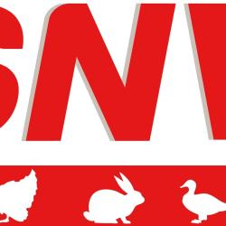 Snv Chailland