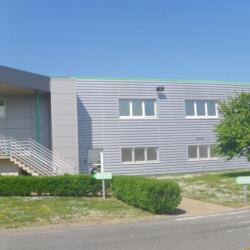Snv Savigny