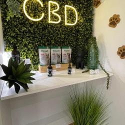 So Green Shop