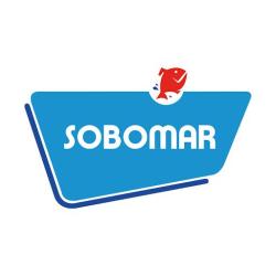 Sobomar (dépôt Saint-geours-de-maremne) - Rls
