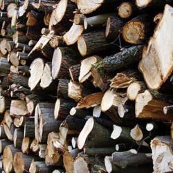 Société Alpine Des Bois