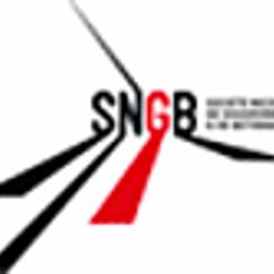 Société Nouvelle De Goudronnage Et Bétonnage Sngb