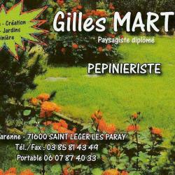 Martin Gilles