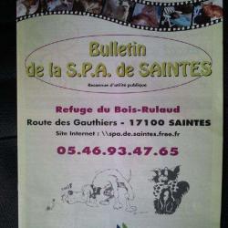 Societe Protectrice Des Animaux
