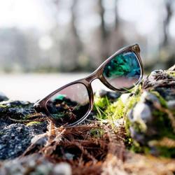 Sol Optic Des Roches