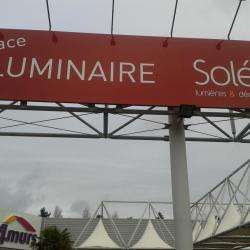 Solea