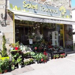 Soleil Et Tournesol