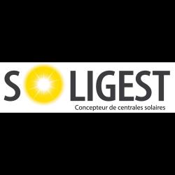 Soligest